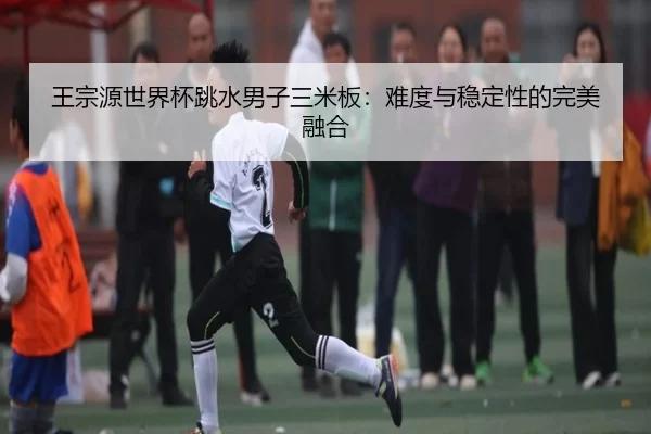 王宗源世界杯跳水男子三米板：难度与稳定性的完美融合