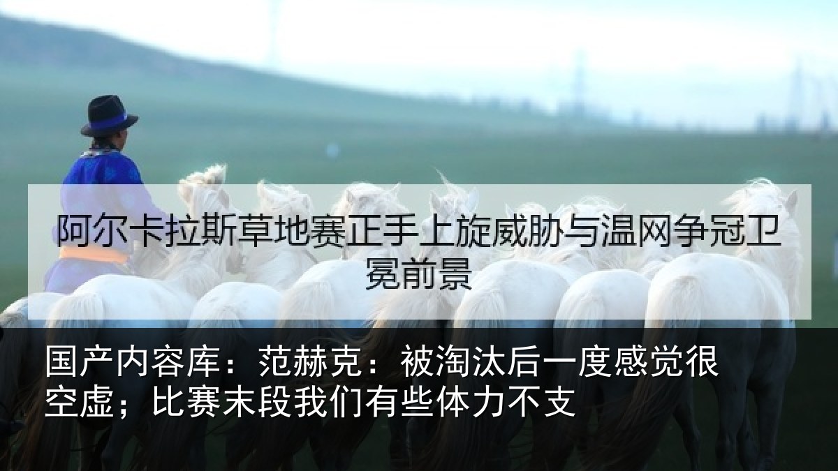 国产内容库:范赫克:被淘汰后一度感觉很空虚;比赛末段我们有些体力不支