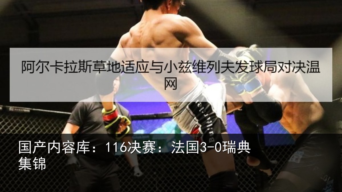 国产内容库：116决赛：法国3-0瑞典集锦