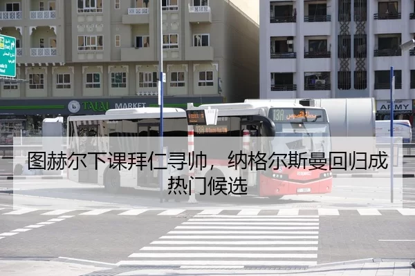 tu-he-er-xia-ke-bai-ren-xun-shuai-na-ge-er-si-man-hui-gui-cheng-re-men-hou-xuan-3-527.jpg